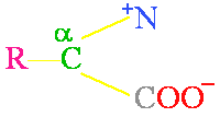 structural formula for a generic alpha amino acid