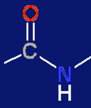 formula of the peptide bond