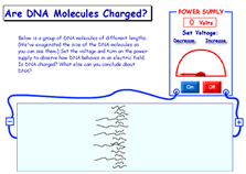 more on DNA