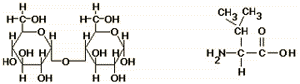 The molecule on the left has  of 2 ring structures 
with an O atom in the ring and it ratio of C, H, O is 1:2:1.
The molecule on the right has an amino group and a carboxyl 
group.