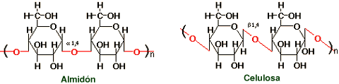 Structural formula of starch on the left and a cellulose on the right