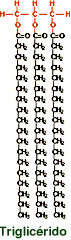 Structural formula of a triglyceride 