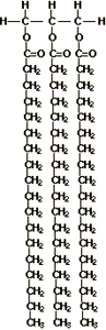 Structural formula that includes a molecule of 
glycerol and fatty acids molecules