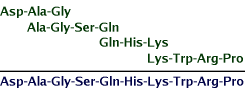 ala-gly-ser-gln, lys-trp-arg-pro,
gln-his-lys, asp-ala-gly aligned as described in problem 11 resulting
in asp-ala-gly-ser-gln-his-lys-trp-arg-pro  