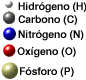 legend: Hydrogen (H), Carbon (C), Nitrogen (N), Oxygen (O), Phosphate (P)