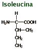 Chemical structure isoleucine
C6H13NO2 