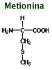 Chemical structure of methionine
C5H11NO2S