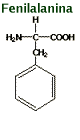 Chemical structure for
phenylalanine C9H11NO2 