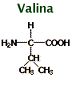 Chemical structure of valine C5H11NO2 