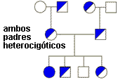 rbol genealgico