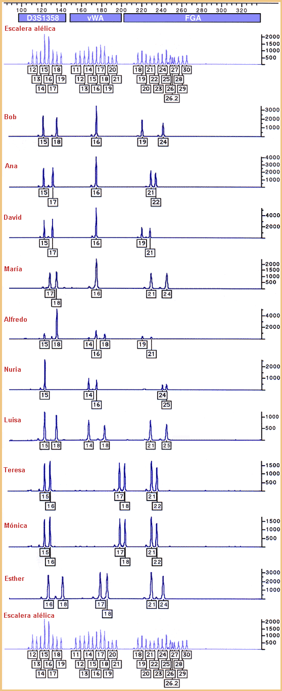 STR data