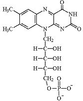 estructura del FMN