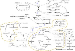 esquema integrado