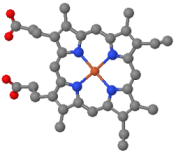 estructura del hemo