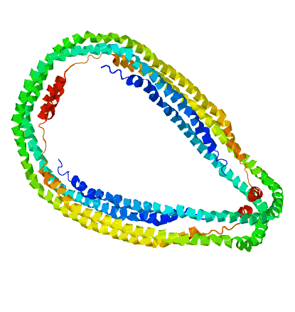 estructura de apoA1 unida