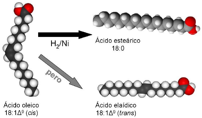 hidrogenacin