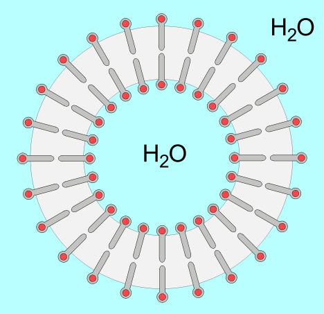 liposoma