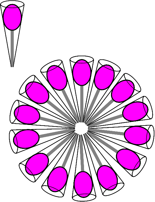 micela-cono