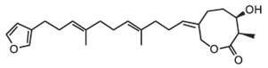 estructura de la astacolactina