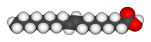 estructura del eladico