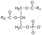 estructura del fosfatdico