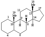 estructura del androstano