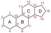 estructura del esterano