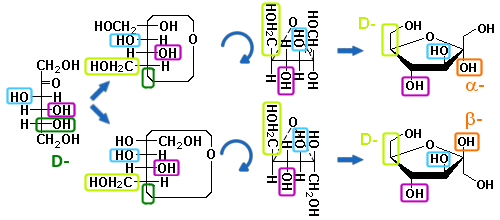 fórmula estructural de la D-fructofuranosa