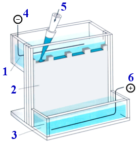 esquema de cubeta de electroforesis vertical